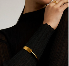 Load image into Gallery viewer, Crosby Hinged Bangle 676