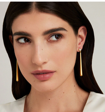 Load image into Gallery viewer, Catalina Long Drop Earrings 1013