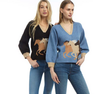Load image into Gallery viewer, Horse with No Name Sweater FK26-38
