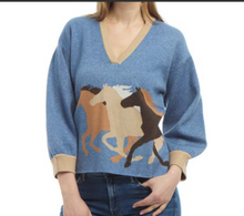 Load image into Gallery viewer, Horse with No Name Sweater FK26-38
